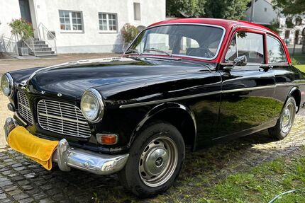 Volvo Amazon 43.300 km 14.999 € Korlingen 54317