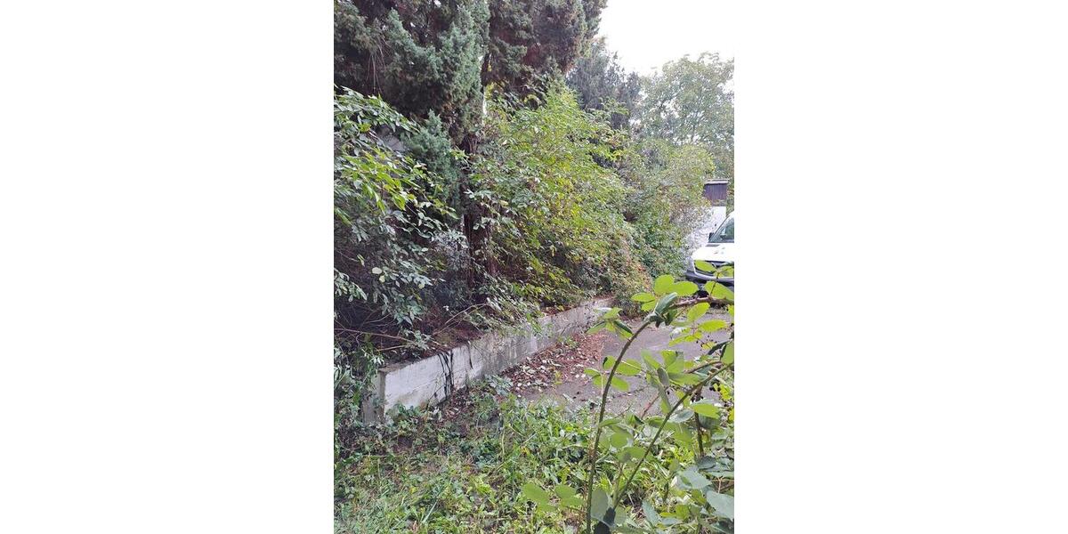 Mehrfamilienhaus, Wohnhaus Ballenstedt - 12 Zimmer, 180 m&sup2;, 88.888&euro; | Angebot:26612335