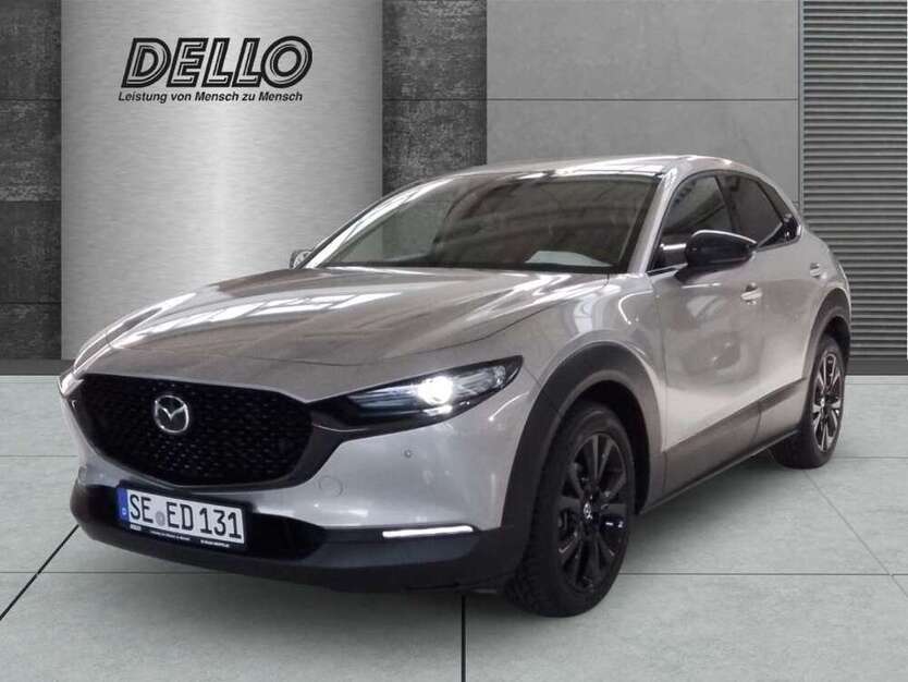 CX-30
