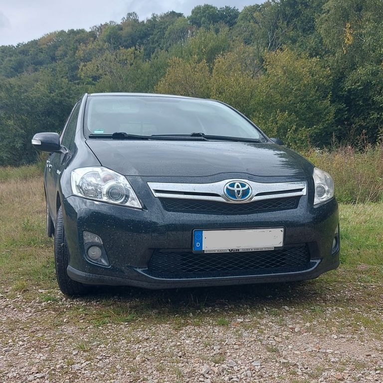Auris