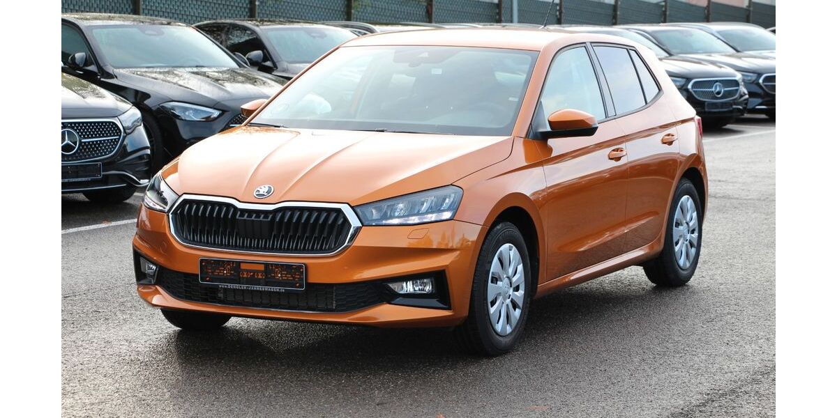 Skoda Fabia 4.570 km 17.890 &euro; Jettingen 71131