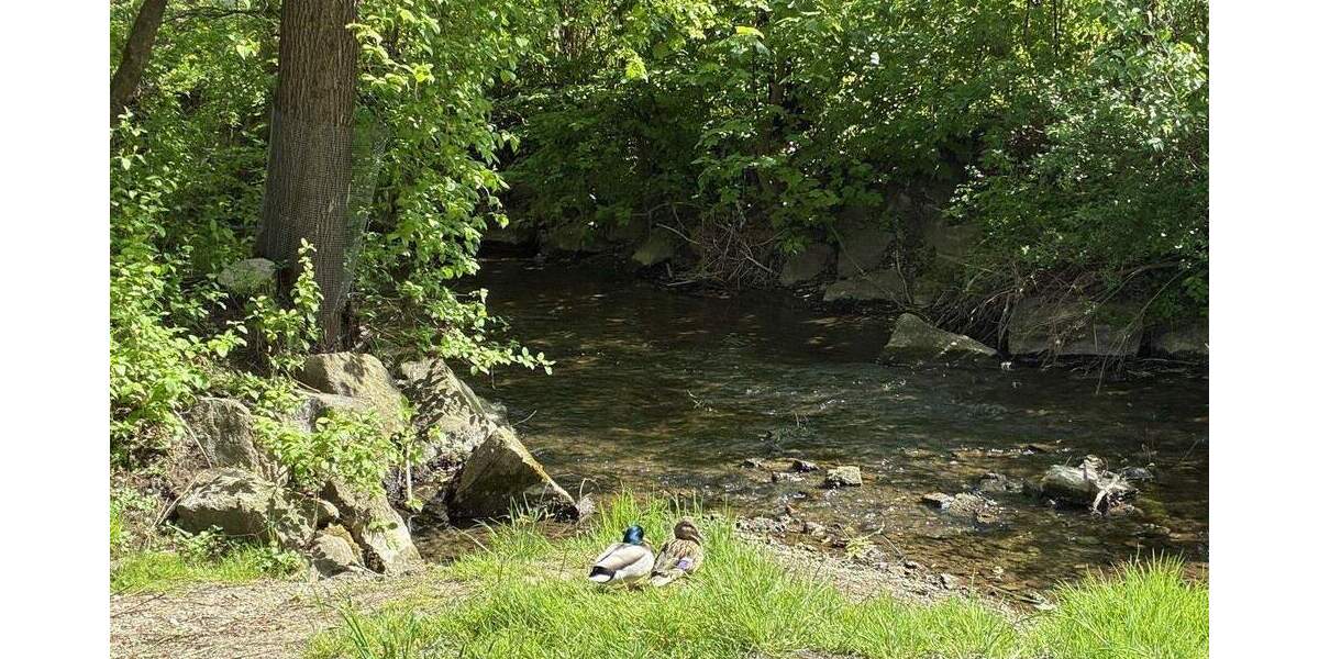 Wohnen und Leben an der Paar - Lassen Sie die Seele baumeln, in Bestlage 3 zimmer