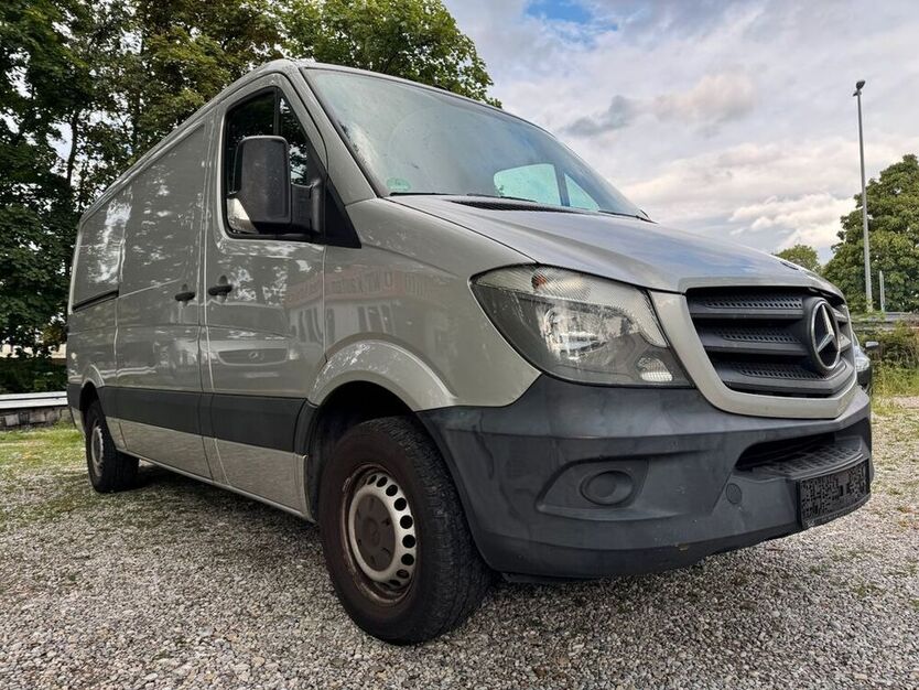 Sprinter