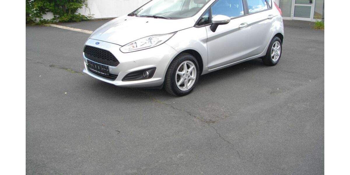 Ford Fiesta 298.500 km 3.650 &euro; Schwarzenbach/Saale 95126