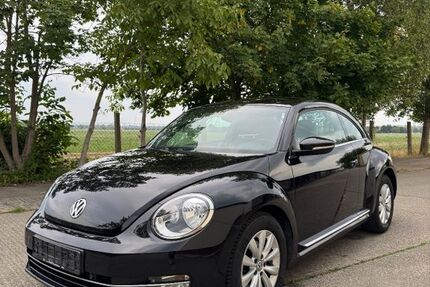 VW Beetle