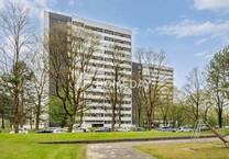 Attraktive 1-Zimmer-Wohnung mit EBK und Loggia in attraktiver Lage von Augsburg