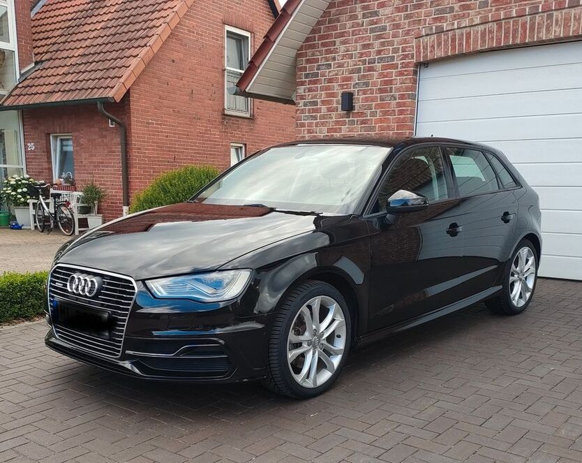 A3