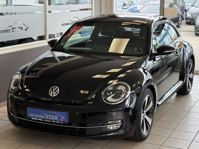 Beetle