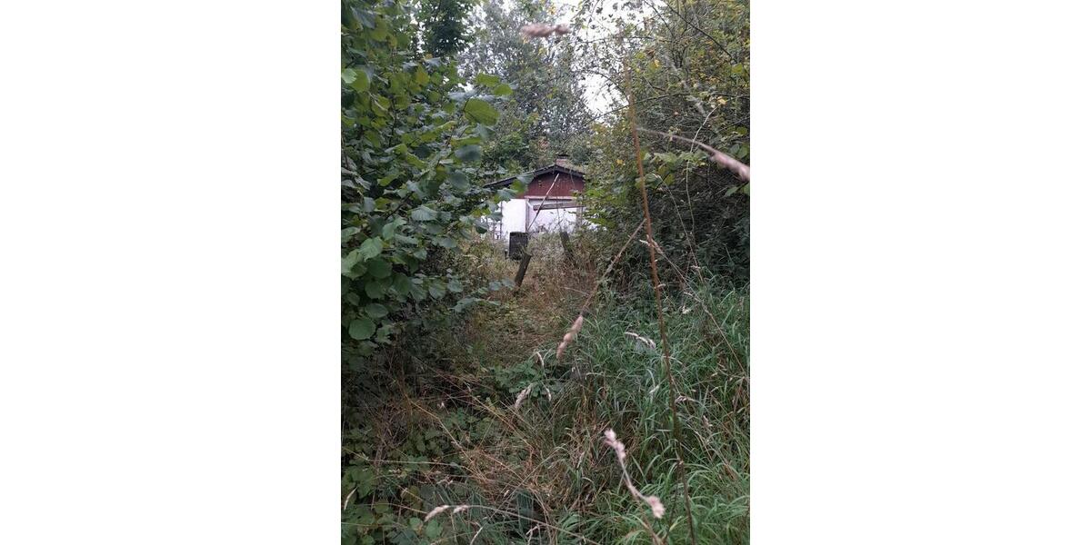 FerienhausWochenendhaus mit ca. 3.000 m² auf dem Warteberg zimmer