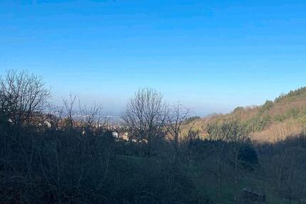 Wohnung Bühl - 4 Zimmer, 110 m&sup2;, 900&euro; | Angebot:25523178