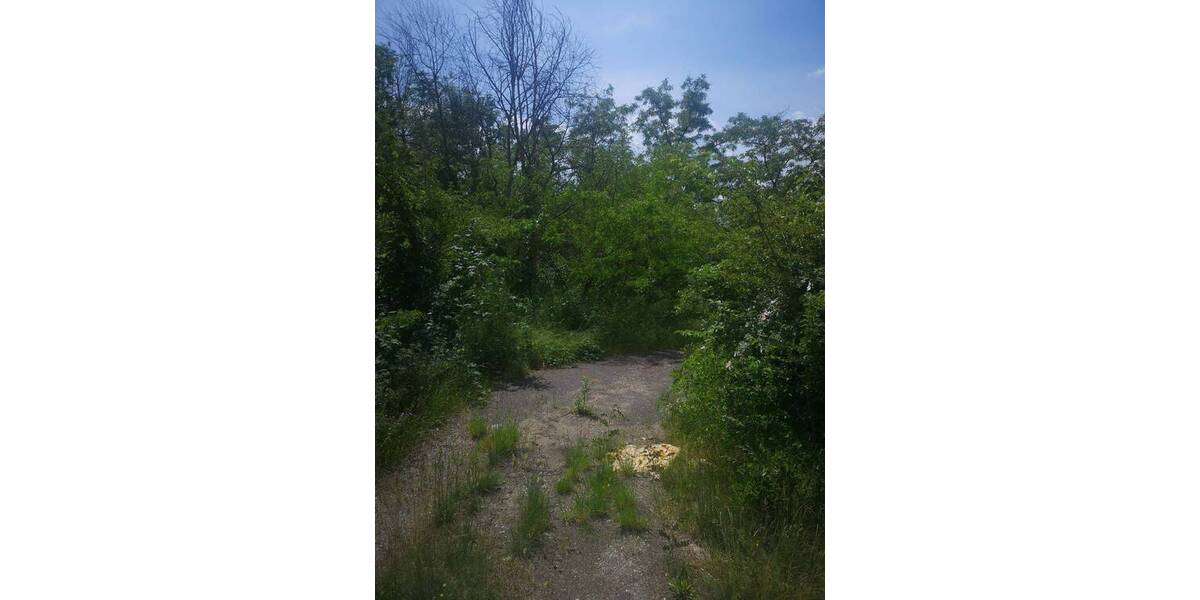 Grundstück Eilenburg - 2.999.000&euro; | Angebot:25958960