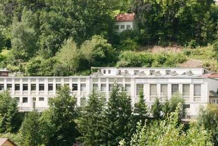 Gewerbeobjekt Altensteig - 985.000&euro; | Angebot:27031847