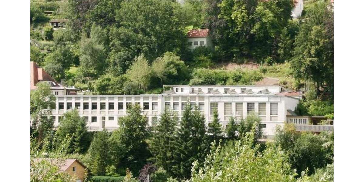 Gewerbeobjekt Altensteig - 985.000&euro; | Angebot:27031847