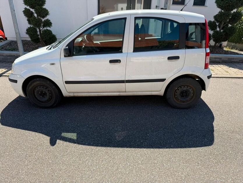 Panda