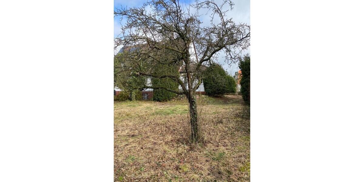 Doppelhaushälfte Hannover Bothfeld-Vahrenheide - 5 Zimmer, 119 m&sup2;, 495.000&euro; | Angebot:27085806