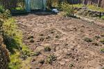 Grundstück Mühlhausen (Thüringen) - 2.300&euro; | Angebot:26365345