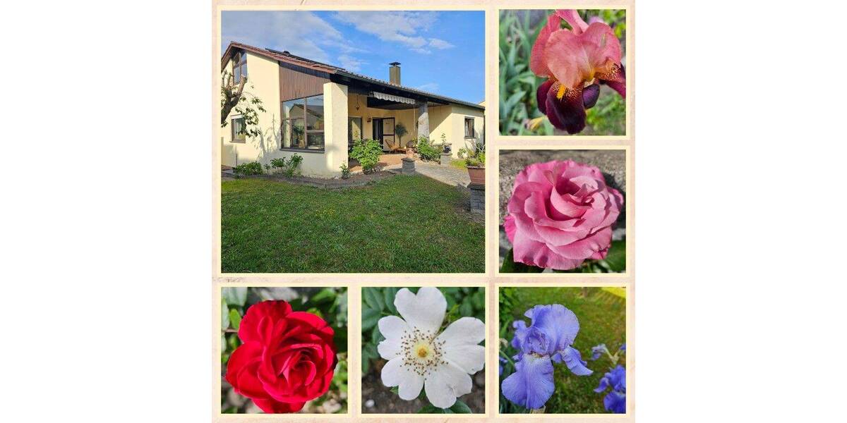 Einfamilienhaus Vilshofen an der Donau Vilshofen - 6 Zimmer, 190 m&sup2;, 479.000&euro; | Angebot:26825997