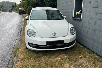 VW Beetle 147.200 km 7.999 &euro; Windeck 51570