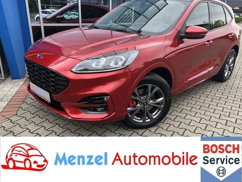 Kuga
