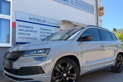 Skoda Karoq 127.728 km 20.170 &euro; Wasserliesch 54332