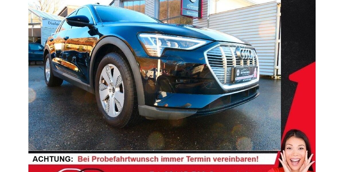 Audi e-tron 97.300 km 23.900 &euro; Pappenheim 91788
