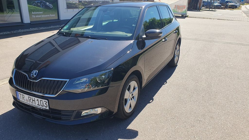 Skoda Fabia 66.310 km 9.650 &euro; Morscheid 54317