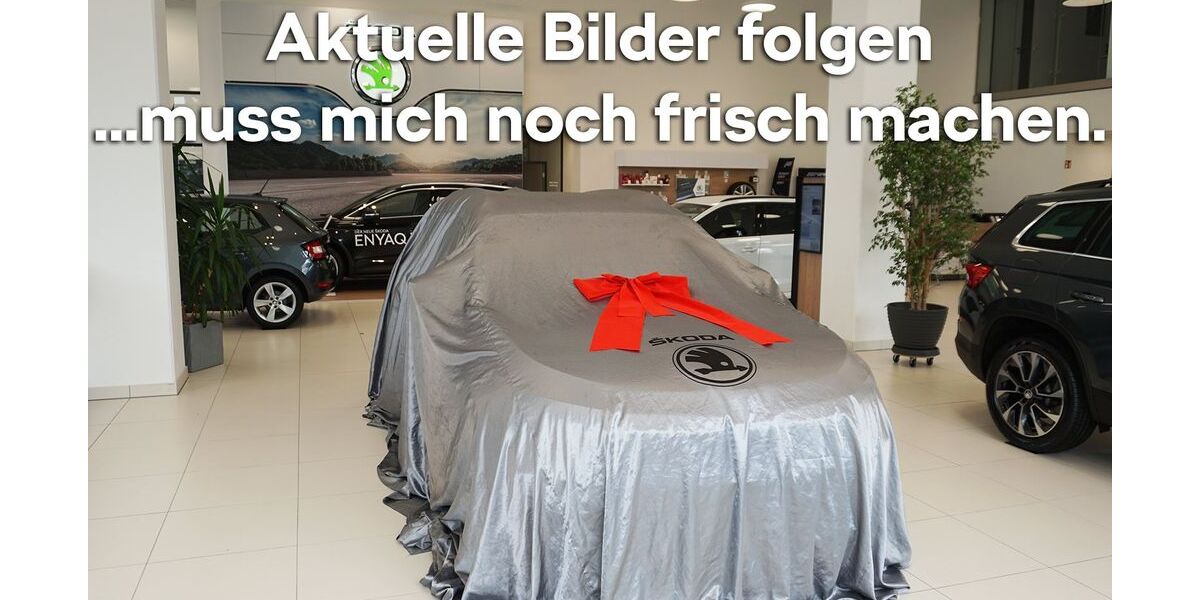 Skoda Karoq 32.300 km 32.890 &euro; Emmendingen 79312