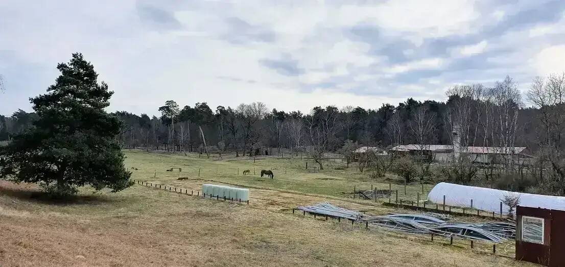 Mehrfamilienhaus, Wohnhaus Bad Belzig Werbig - 1 Zimmer, 360.000&euro; | Angebot:25898618