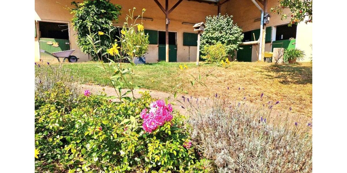 Einfamilienhaus Birkenfeld - 11 Zimmer, 350 m&sup2;, 849.000&euro; | Angebot:27145824