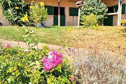 Haus Birkenfeld - 11 Zimmer, 350 m&sup2;, 849.000&euro; | Angebot:27145824
