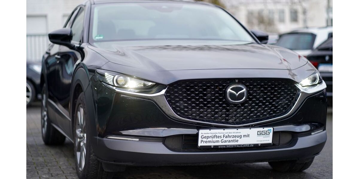 Mazda CX-30 76.246 km 18.500 &euro; Rheda-Wiedenbrück 33378