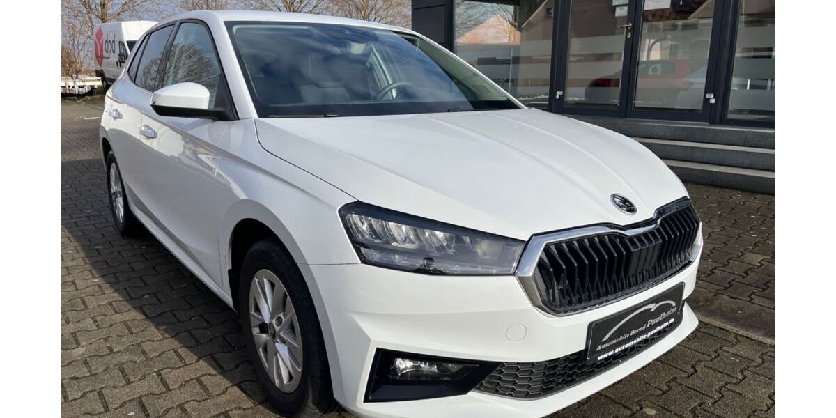 Skoda Fabia 15.672 km 18.999 &euro; Kammeltal/Egenhofen 89358