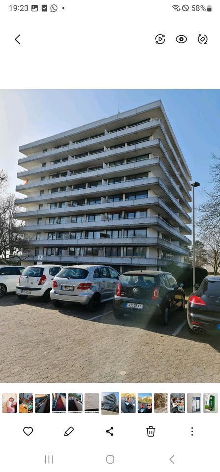 3 Zimmer Wohnung zimmer