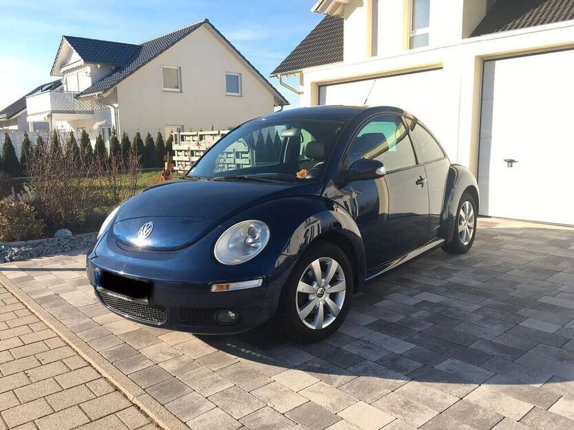Beetle
