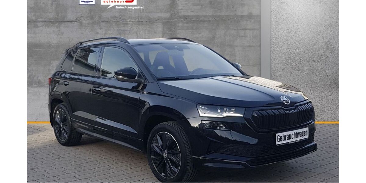 Skoda Karoq 64.486 km 31.790 &euro; Schwäbisch Gmünd 73525