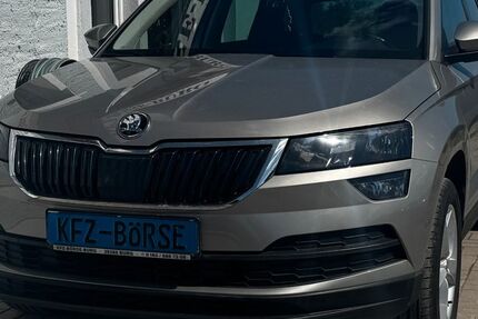Skoda Karoq 147.000 km 14.900 &euro; Burg 39288