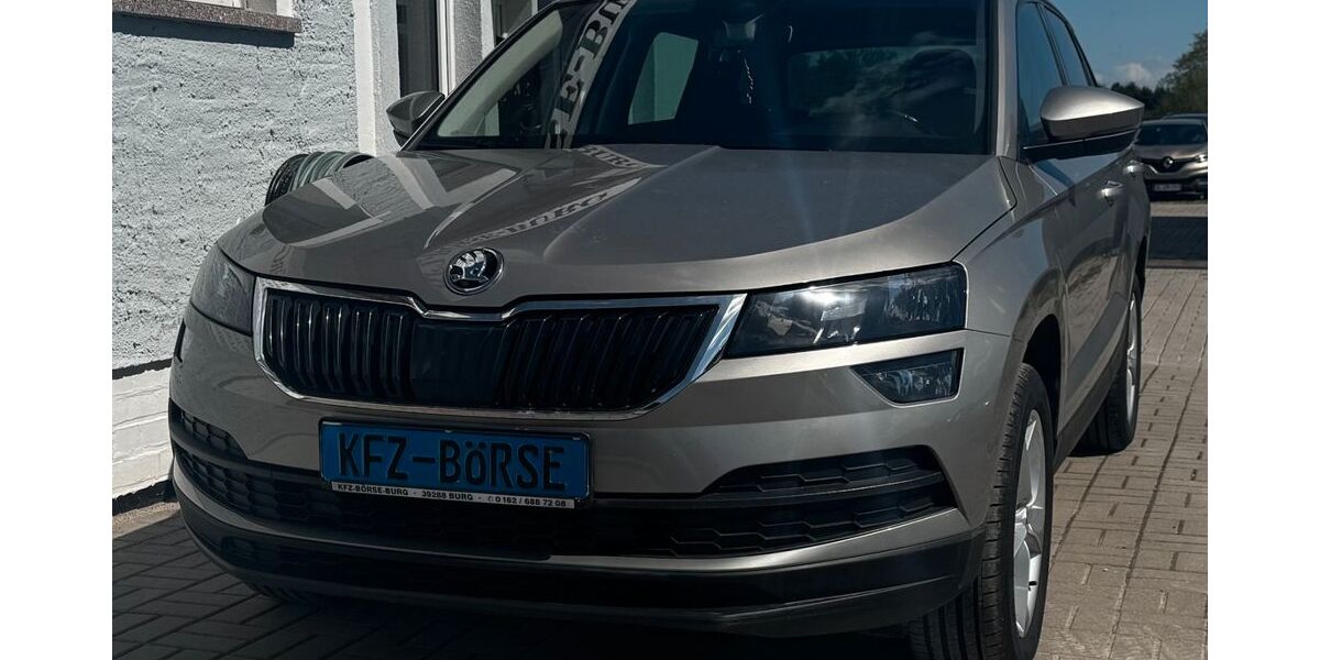 Skoda Karoq 147.000 km 14.900 &euro; Burg 39288