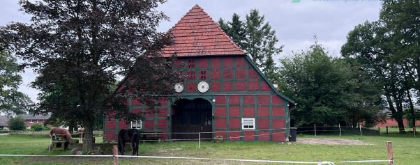 Historischer Niedersachsen- Bauernhof in Fachwerk mit Pferdeboxen u. tollen Eichenbaumbestand - Gewerbeobjekt Diepenau | Angebot:27142419