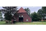 Historischer Niedersachsen- Bauernhof in Fachwerk mit Pferdeboxen u. tollen Eichenbaumbestand - Gewerbeobjekt Diepenau | Angebot:27142419