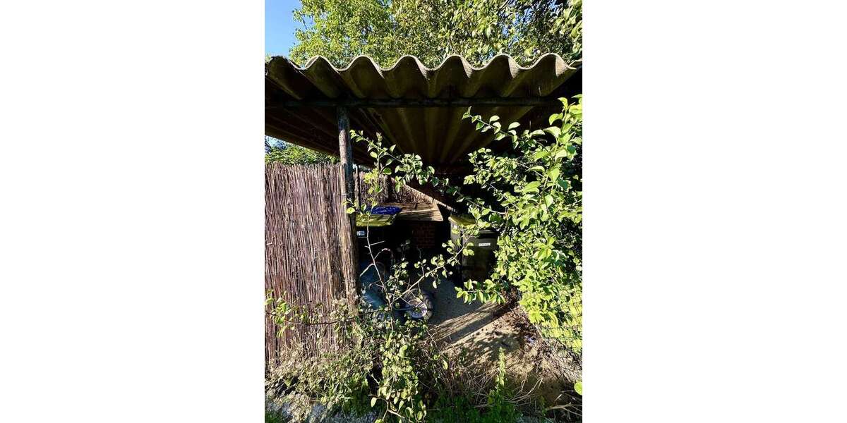 Einfamilienhaus im Grünen - bis zu 50% BAFA förderfähig inkl. vollumfänglichem Sanierungsfahrplan! - Einfamilienhaus Zeithain | Angebot:26533758