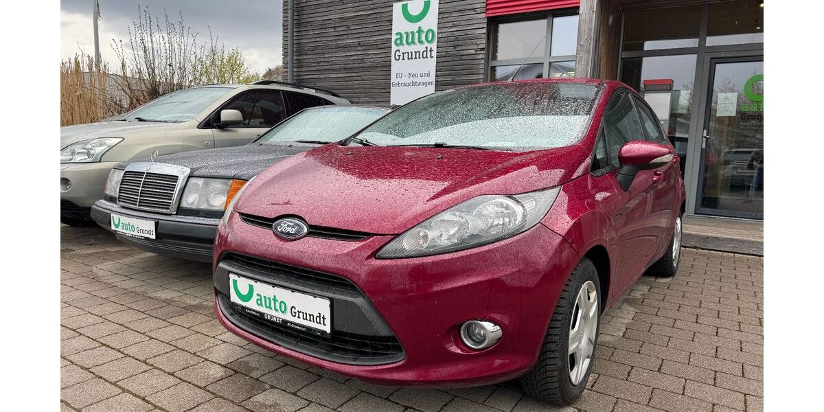 Ford Fiesta 117.000 km 4.500 &euro; Bodnegg - Rotheidlen 88285