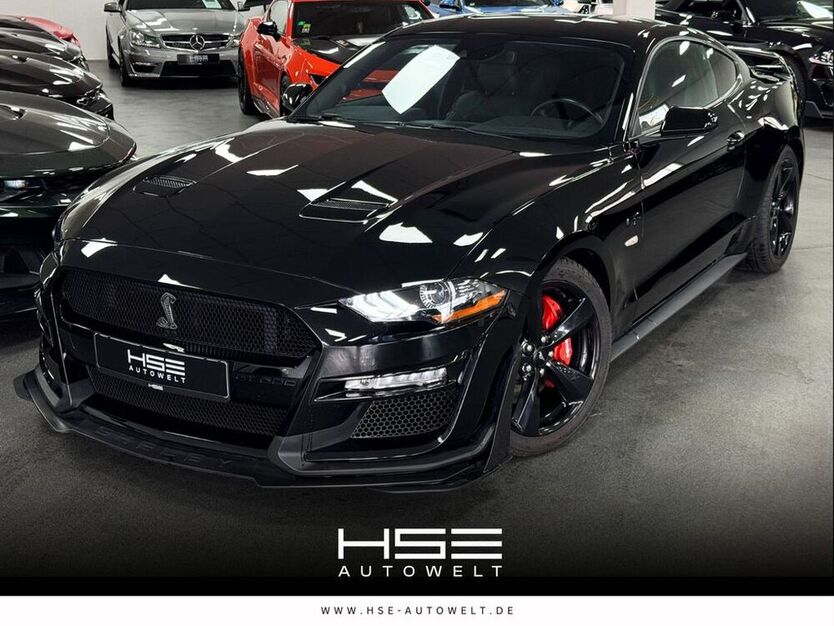 Mustang