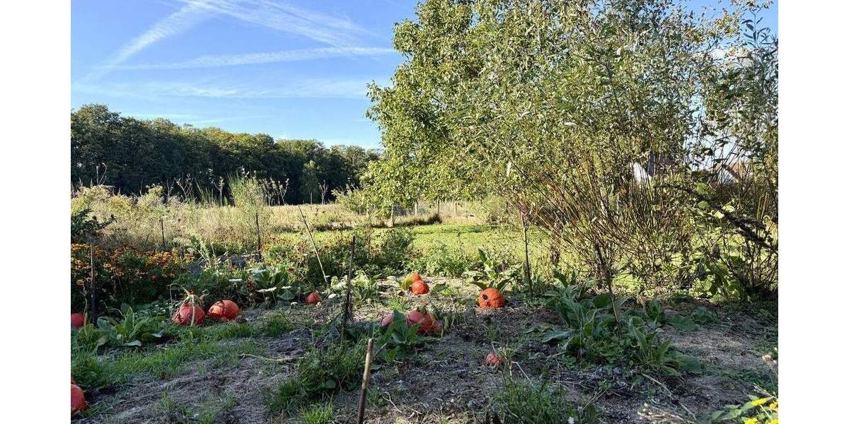 Grundstück Osnabrück Eversburg - 250.000&euro; | Angebot:25673348