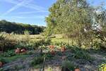 Grundstück Osnabrück Eversburg - 250.000&euro; | Angebot:25673348