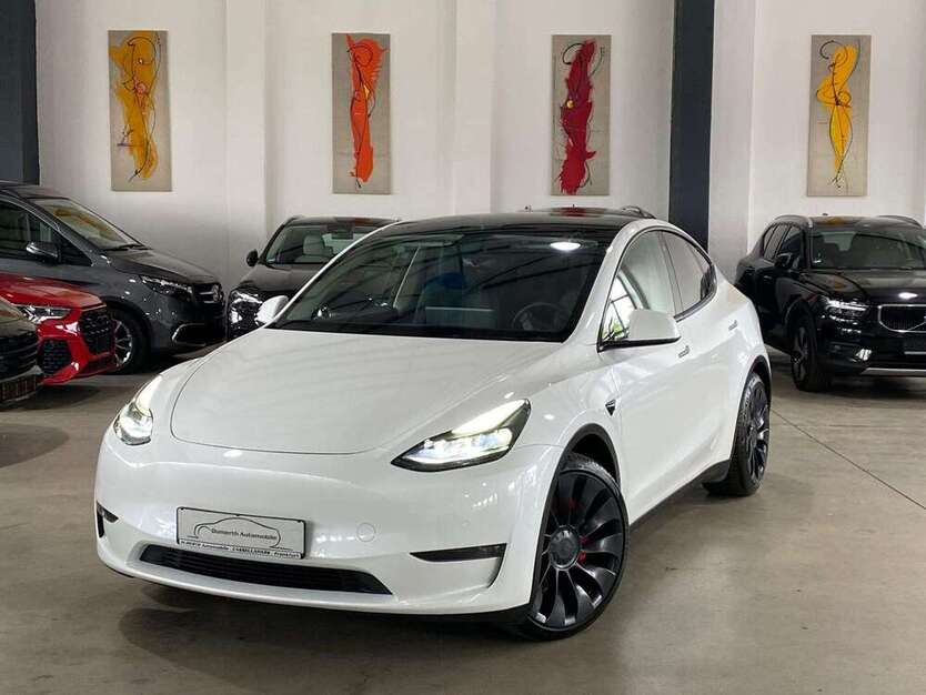Model Y