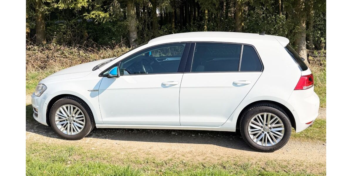 VW Golf 124.000 km 11.750 &euro; Georgsmarienhütte 49124