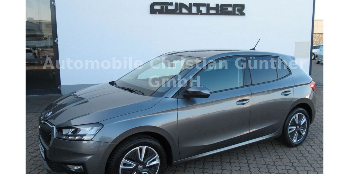 Skoda Fabia 40.000 km 16.990 &euro; Unstruttal OT Ammern 99996