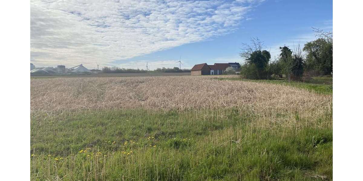 Grundstück Söhlde - 169.000&euro; | Angebot:26378719