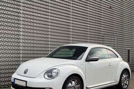 VW Beetle