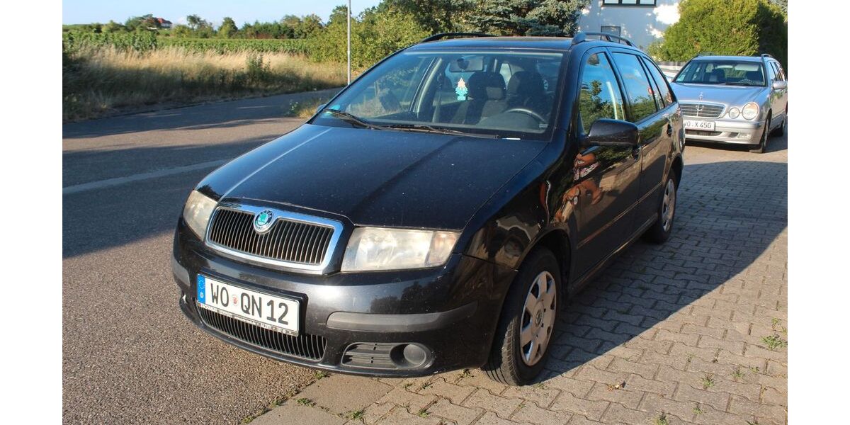 Skoda Fabia 170.000 km 1.500 &euro; Worms-Pfeddersheim 67551
